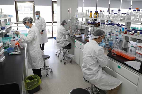 疫苗實驗室設計布局方案